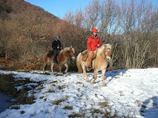 Ipposvago - scuola trekking a cavallo