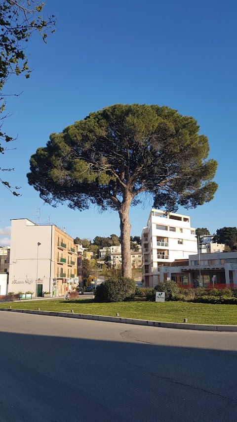 Istituto Tecnico Statale Commerciale e Geometra "Loperfido - Olivetti"