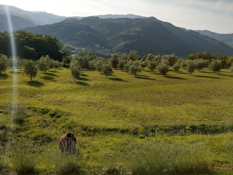 Agriturismo La Fontaccia