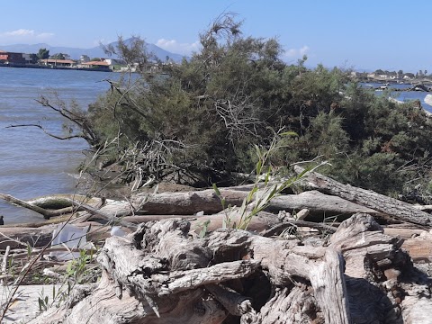 Riserva naturale Foce Volturno - Costa di Licola