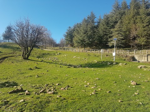 Rifugio Trearie