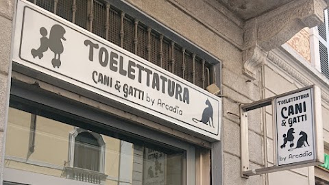 TOELETTATURA cani e gatti by Arcadia VIA Salasco 32 Milano (ex tibaldi )