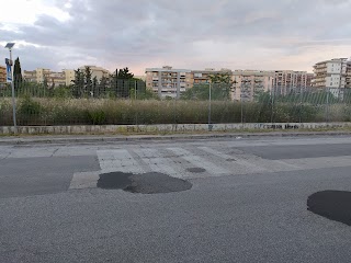 Liceo Linguistico e Istituto Tecnico Economico Statale MARCO POLO