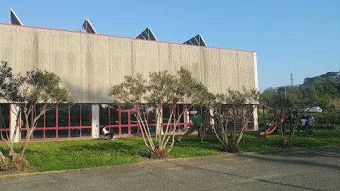 Palasport Camaiore