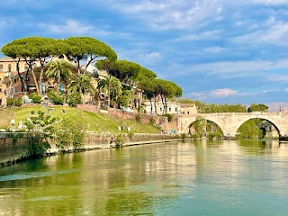 Rome Colosseum Tours