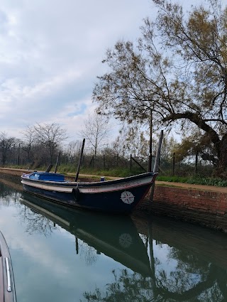 Guida turistica di Venezia e ville venete - Fiorella Pagotto