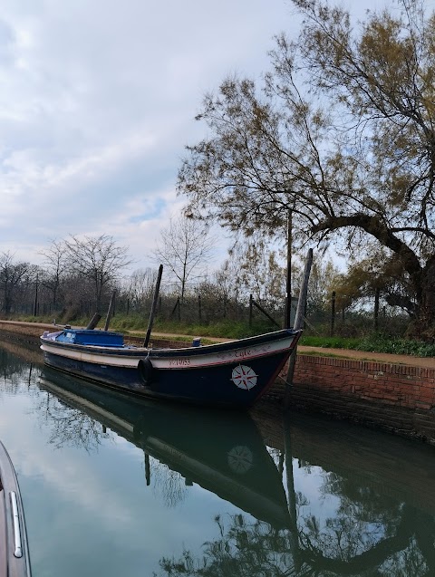 Guida turistica di Venezia e ville venete - Fiorella Pagotto