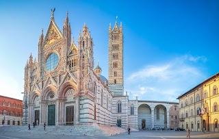 Chiara Biccellari | Guida turistica autorizzata Siena e provincia