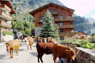 Les Chalets du Bouquetin