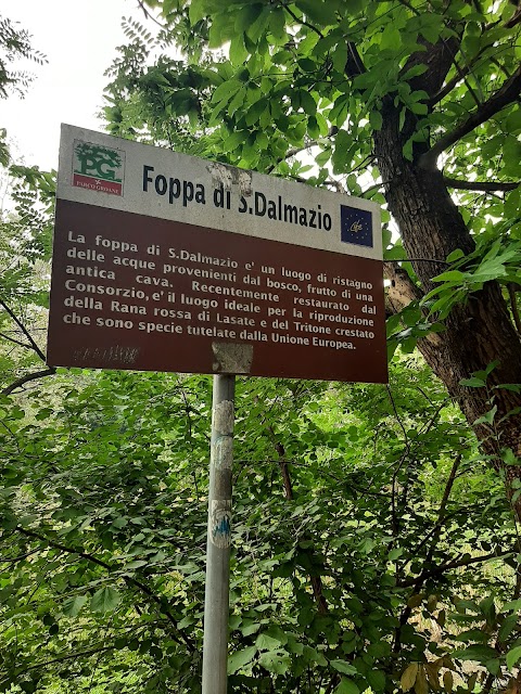 Foppa San Dalmazio