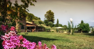 Agriturismo Bucine Basso Societa' Semplice Agricola