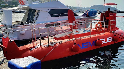 Nemo Sub | Escursioni Ischia