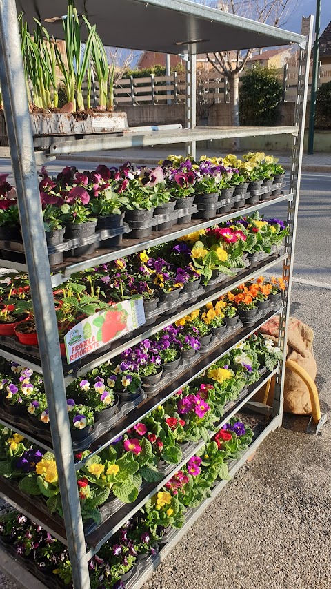 Agrivalle - Agraria - Alimenti per Animali Fiori Piante Casalinghi