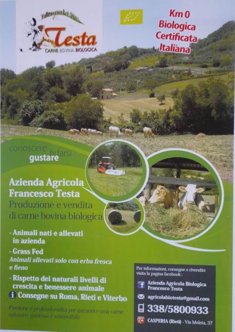 Azienda Agricola Biologica Francesco Testa