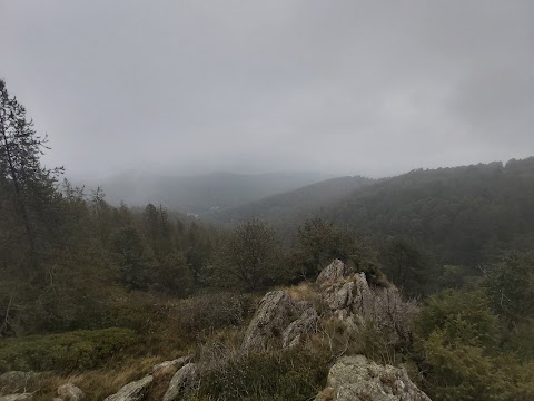 Alpe Colombino