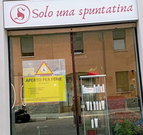 SOLO UNA SPUNTATINA di Ivan Lenna