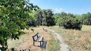 Circolo Auser Parco Grizzaga e campo bocce