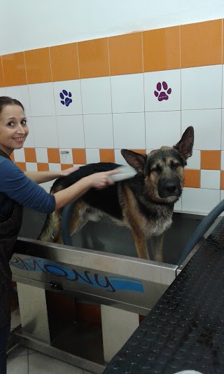 Fabia Toilette