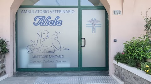 Ambulatorio Veterinario Akela