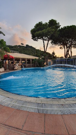 Hotel Terme & Beach Club Cristallo Palace