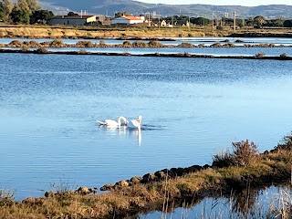 Oasi naturale delle saline