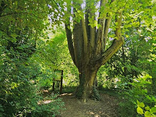 Podere Pantaleone (Rete Natura 2000)