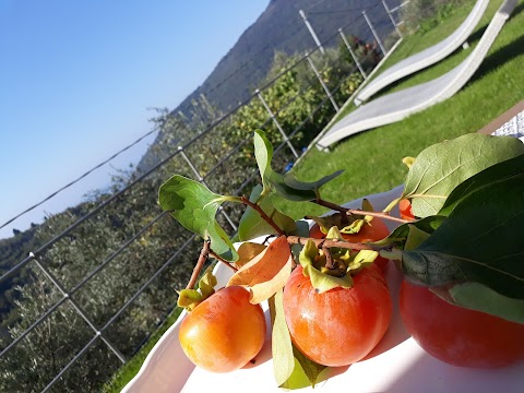 Il Giardino di Fe