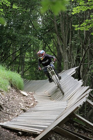 Scuola di Mountain bike e Biciclette - MTB SCHOOL DEEP BIKE QUARTO ALTO