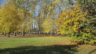 Parco dell'Albereta - Pioppeta del Galluzzo