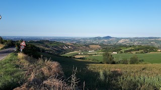 Ristorante La Bazzola