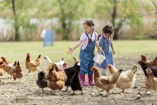 Zooing Nuova Agraria