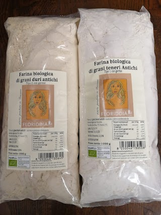 ALIMENTARI GASTRONOMIA DA PAOLA