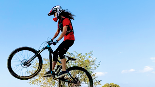 Insane Bike Park