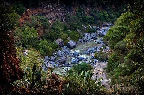 Gole Alcantara Parco Botanico e Geologico