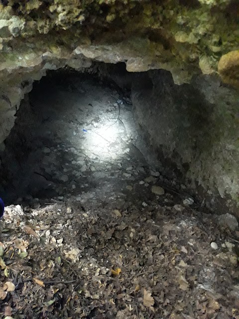 Grotta del parco