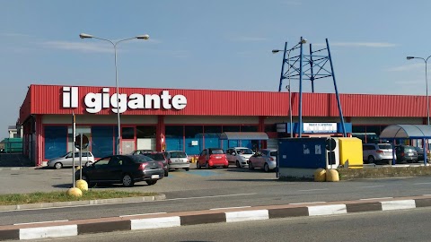 Grandi Magazzini e Supermercati Il Gigante S.p.A.