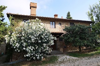 L'Albero - Centro Intern. Formazione Ricerca Creaz. Teatrale