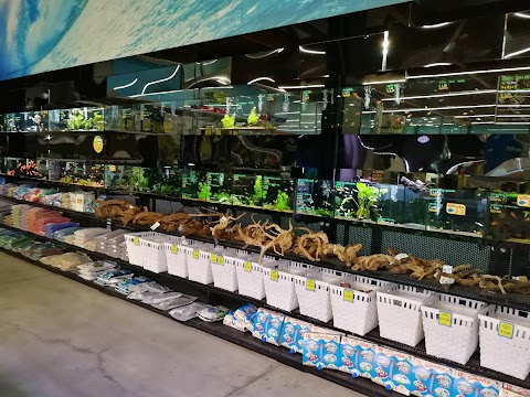 Zoomegastore Somma Lombardo