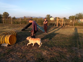 Centro cinofilo Maverick Dog