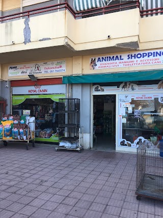 Animal Shopping - Il Discount Degli Animali di Polito Deborah