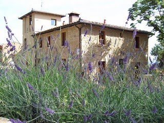 Agriturismo Il Castagnolino