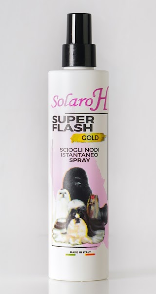 Solaro H