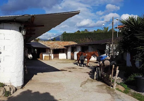 Centro Ippico Le Siepi Reggio Calabria