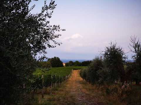 Agriturismo Monte Cicogna