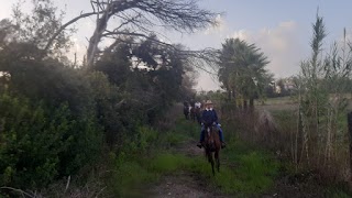 ASPE un cavallo per tutti