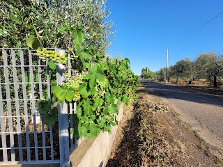 Casa Vacanze Maurella