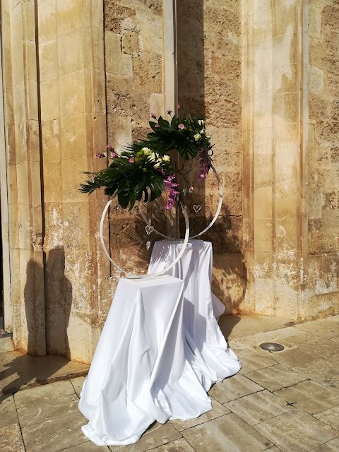 Fioraio Ostuni Bibidi Bobidi Bu