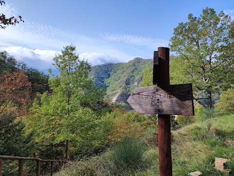 Parco Nazionale delle Foreste Casentinesi, Monte Falterona e Campigna