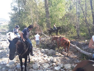 Appennino Horse Trekking