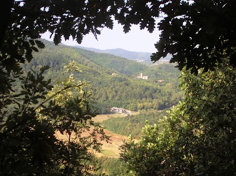 Parco faunistico dell'Appennino